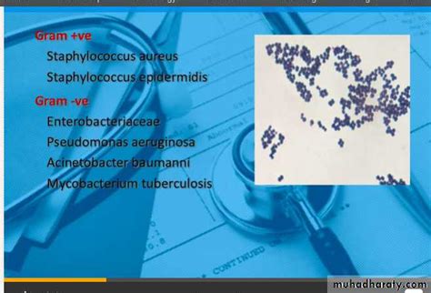 Nosocomial Infection Pptx Infectious Muhadharaty