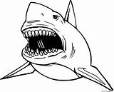 Megalodon Coloring Shark Coloringall Automatically sketch template