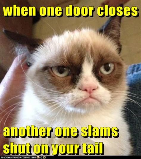 when one door closes grumpy cat pinterest sjov lol og humør