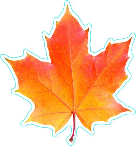 eureka photo image   fall leaf  paper cut outs package