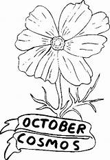 October Coloring Cosmos Flowers Pages Printable Flower Birthstone Color Natural Online Sheets sketch template