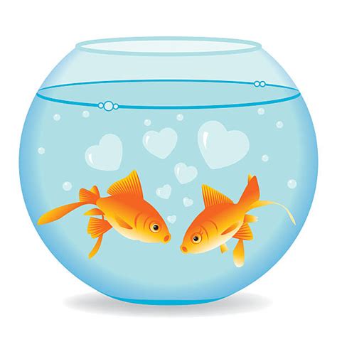 royalty  fish bowl clip art vector images illustrations istock