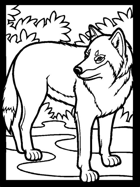 printable wolf pictures coloring home