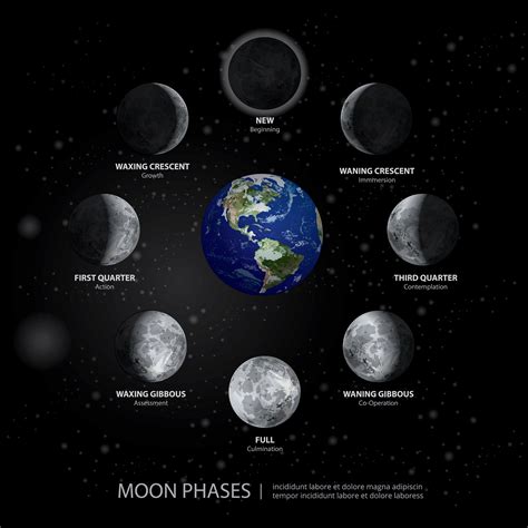movements   moon phases realistic vector illustration