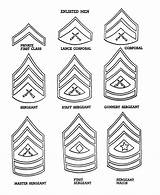 Army Coloring Pages Forces Armed Marine Rank Enlisted Veterans Corps Military Insignia Ranks Color Usmc Badges American Sheets Promotion Worksheet sketch template