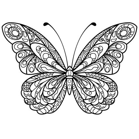 black  white drawing   butterfly