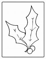 Holly Coloring Pages Christmas Printable Kids Color Leaf Leaves Bestcoloringpagesforkids Library Getcolorings Printables Choose Board Bow Popular Moms Think Who sketch template