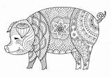 Coloring Pig Pages Adult Printable Animal Mandala Mandalas Colouring Choose Board Books sketch template