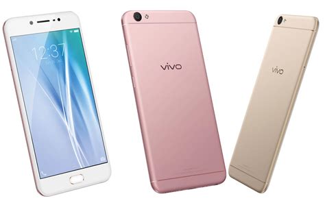 vivo  price reviews specifications