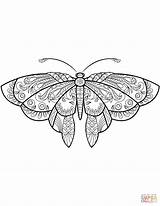 Coloring Butterfly Pages Zentangle Printable Drawing sketch template