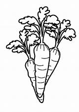 Carrot Coloring Pages Drawing Color Line Garden Healthy Food Getdrawings Eyes Good Place sketch template