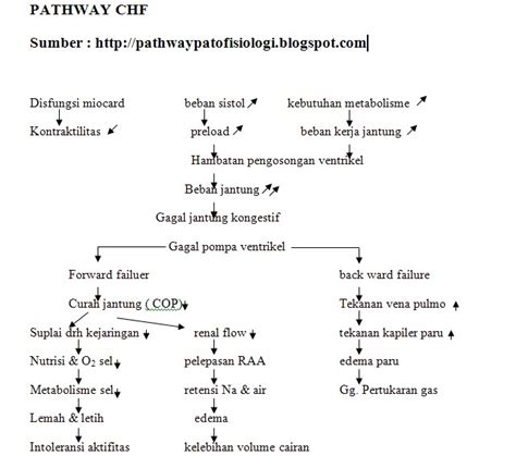 pathway chf pathway patofisiologi