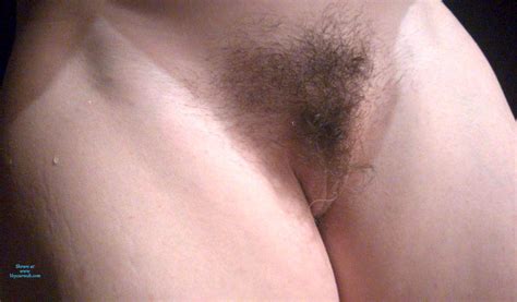 hairy pussy november 2018 voyeur web