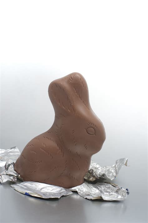 unwrapped chocolate rabbit creative commons stock image