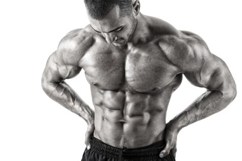 lean bulking machine maximize lean muscle growth and minimize fat gains muscle and strength