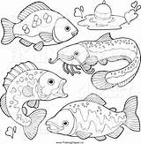 Fish Freshwater Coloring Pages Clipart River Fresh Water Printable Getcolorings Color Colo Clipground sketch template