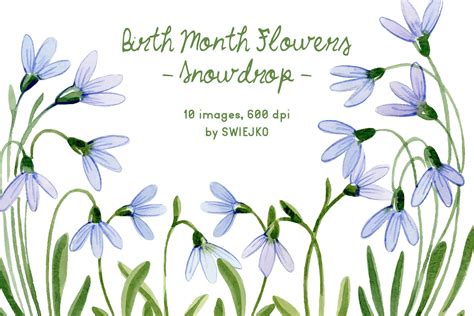 snowdrop birth month flower january graphic  swiejko creative fabrica