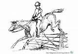 Pferd Malvorlage Pferde Zum Mit Voltigieren Ausmalen Reiter Babyduda Reiterin Sprung Ausmalbild Springen Sattel Pferdebilder Kostenlose sketch template