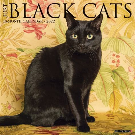 black cats 2022 wall calendar