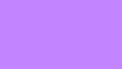 lavender plain violet background naniewandy