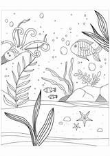 Wasserwelten Malbuch Erwachsene Fur Mers Adulti Marins Fonds Poissons Mondes Justcolor sketch template