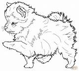 Pomeranian Coloring Pages Dog Puppy Supercoloring Af sketch template