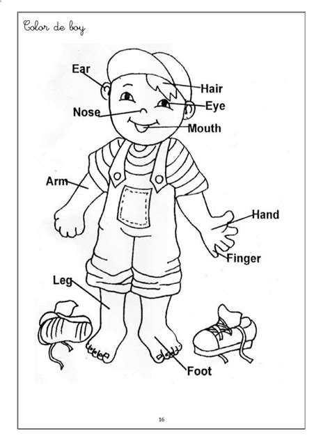 body parts coloring pages printables high quality coloring pages