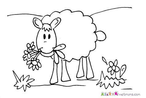 baby sheep coloring pages  getcoloringscom  printable