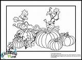 Coloring Pumpkin Pages Jesus Patch Pumpkins Printable Shine Light Popular Template sketch template