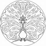 Mandala Peacock Coloring Vector Animals Wheel Vectors Preview Royalty sketch template
