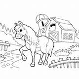 Farm Pony Coloring Pages Surfnetkids sketch template