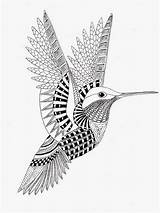 Coloring Zentangle Pages Hummingbird Mandala Bird Imprimer Coloriage Animal Mandalas Adult Dessin Drawing Kwok Ben Colorier Coloriages Drawings Zen Colibri sketch template