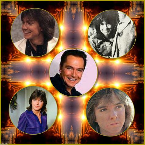 Pin By Nancy York On David Cassidy Pf Collage Photos