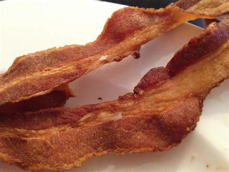 love  bacon trippin  tara