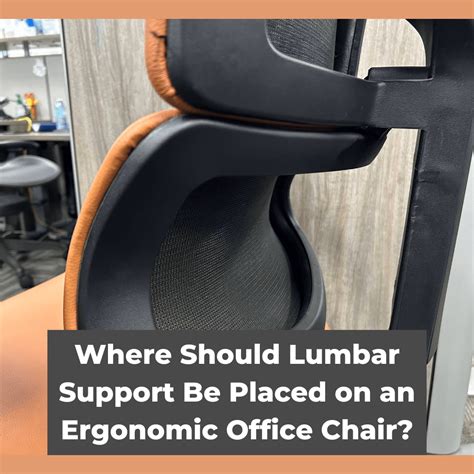 lumbar support     ergonomic office chair