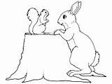 Rabbit Squirrel Coloring Printable Pages Activities Rabbits sketch template