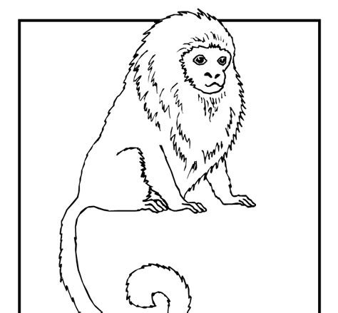 extinct animal coloring pages cacadeloro