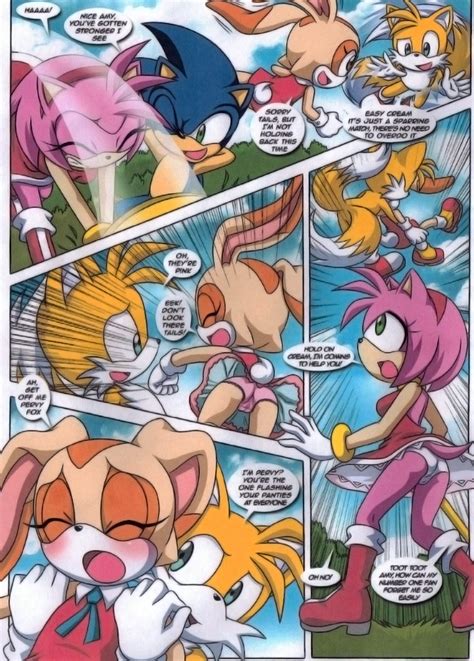 Rule 34 A Sparring Session Amy Rose Cream The Rabbit