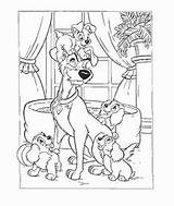Coloring Disney Pages Lady Tramp sketch template