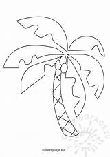 Tropical Coconut Palm Tree Coloring sketch template