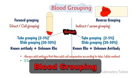 blood grouping principle abo blood grouping  rh typing introduction principle