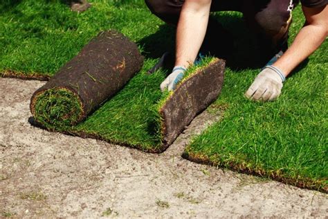 sod installation guide   main steps  installing sod   lawn