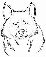Wolf Head Drawing Drawings Sketch Easy Draw Face Snarling Coloring Google Un Deviantart Cool Loup Template Search Animal Sketches Dessin sketch template