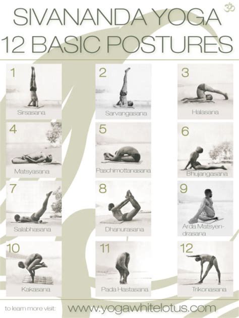 sivananda yoga  basic postures pictures   images
