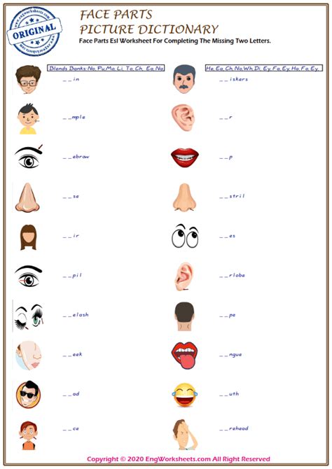 face parts printable english esl vocabulary worksheets engworksheets