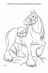 Pferde Merida Angus Valente Kleurplaat Cavalo Princesa Colouring Friesen Clydesdale Bestcoloringpagesforkids sketch template
