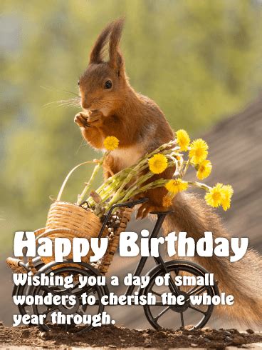 sweet squirrel happy birthday card birthday greeting cards  davia