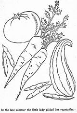 Elf Alimentation Kapok Picasa Dessins Desenhosparacolorir Colorir Desenhos sketch template