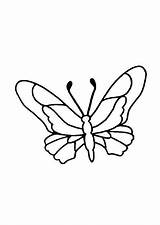 Papillon sketch template
