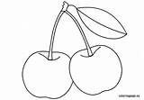 Cherries Coloring Pages Fruit Cherry Coloringpage Eu Vector Quilt sketch template